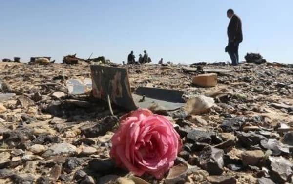 A flower is seen near debris at the crash site of a Russian airliner in al-Hasanah area in El Arish city, north Egypt