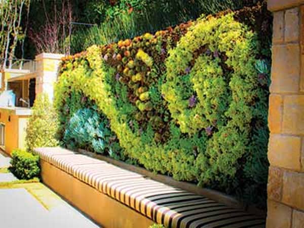 Verticl-gardens-and-green-Walls-is-new-trend-in-urban-landscape-design-copy-Copy