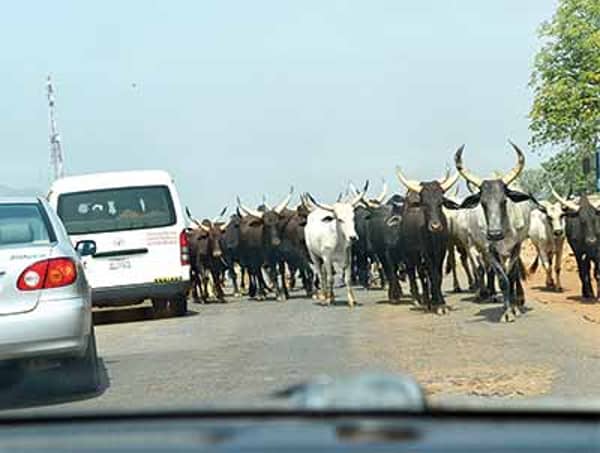 Enugu-Herdsmen