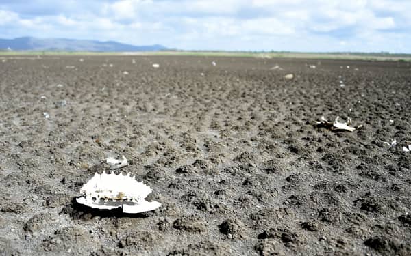 DOUNIAMAG-BRAZIL-DROUGHT-RESERVOIR