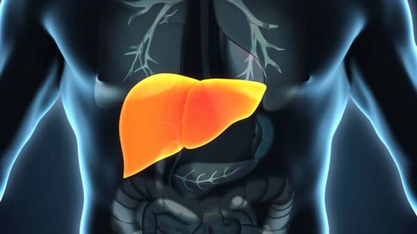 LIVER-DISEASE
