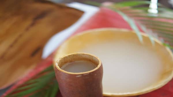 palmwine-gourd