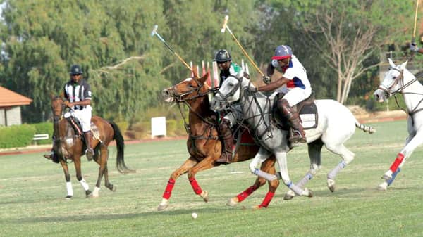 Polo-P.45-23=05=2017