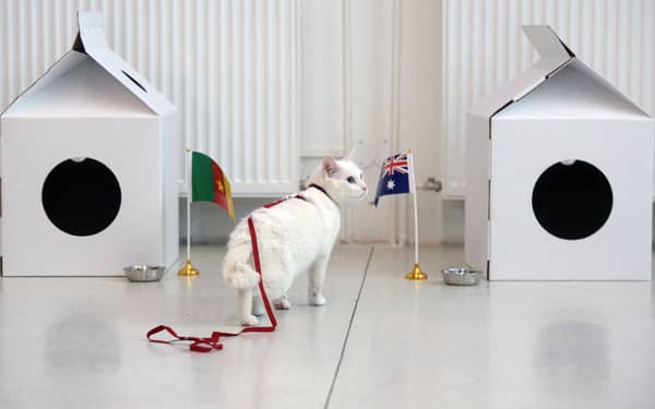 FBL-CONFED-CUP-FEATURE