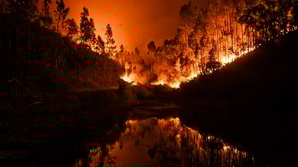 Portugal-forest-fire