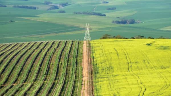 images-for-guardian.28.07