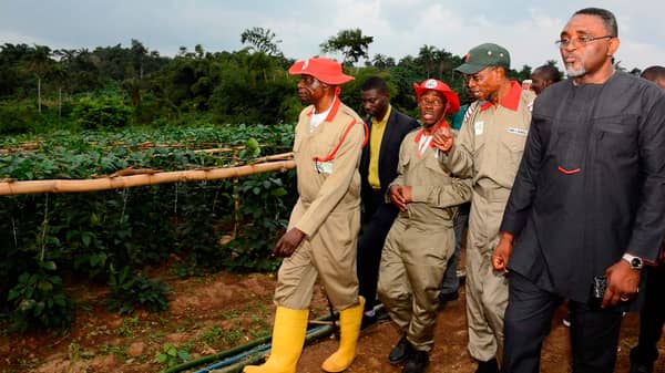 Aregbesola-Flags-of-Osun-Hybrid-Cucumber-Production-4