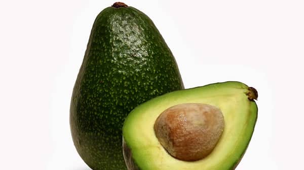 Avocado