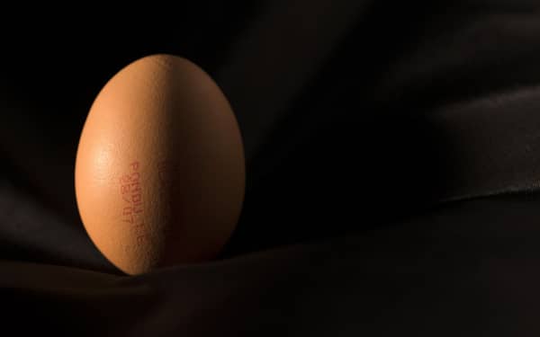 FRANCE-HEALTH-EUROPE-FOOD-EGG