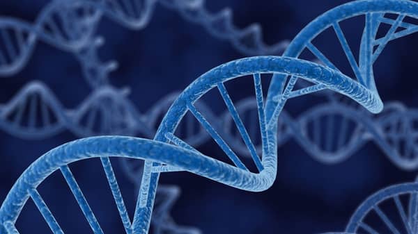 Genetic-data-shows-humans-still-evolving
