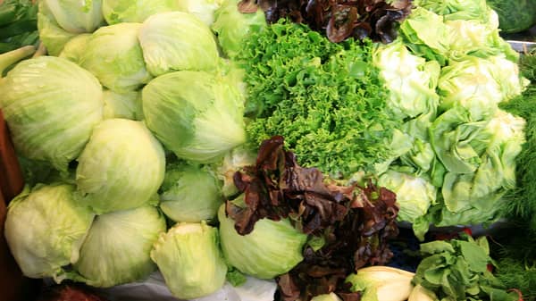 Lettuce