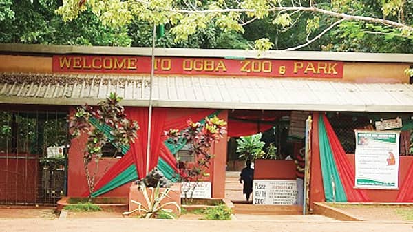Ogba-zoo