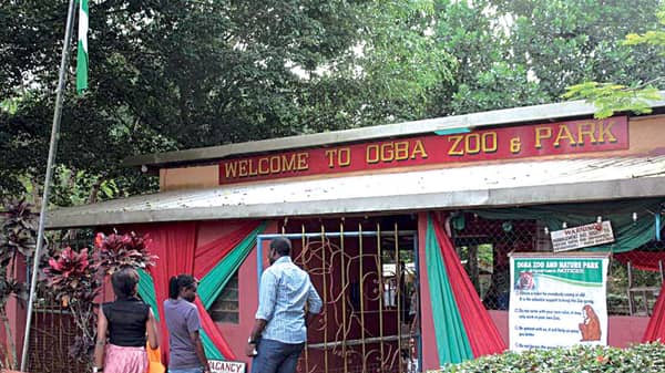 Edo, Ogba-Zoo
