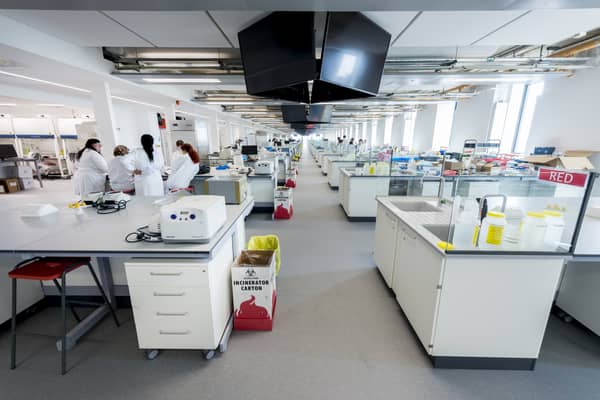 First look at the new HLS Lab Plus