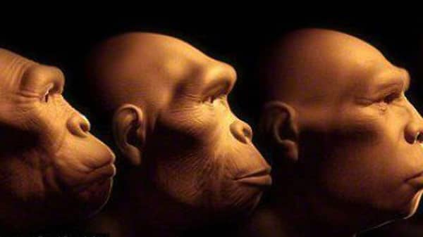 426313438_187091_3773708319582698222-520×245