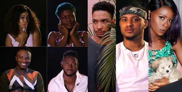 double-wahala-housemates big brother