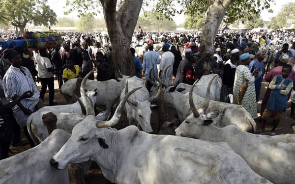 FILES-NIGERIA-SAHEL-AGRICULTURE-DROUGHT-UNREST