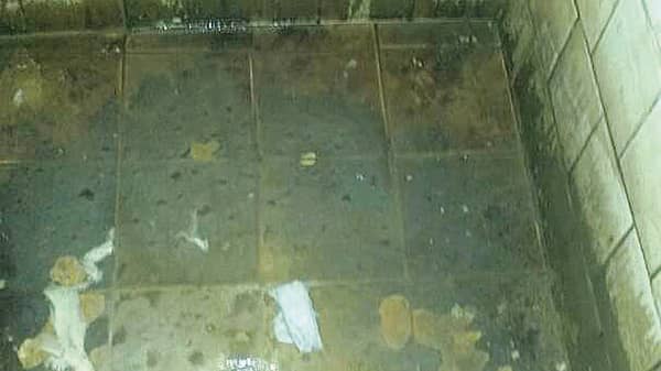 Kwara-state-university