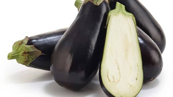 eggplant