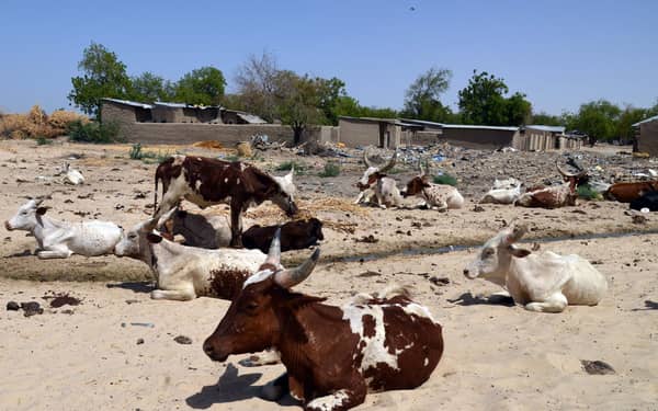 FILES-NIGERIA-SAHEL-AGRICULTURE-DROUGHT-UNREST