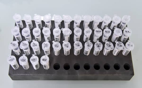 FILES-FRANCE-SCIENCE-EVOLUTION-HUMANS