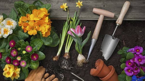 qa-with-2013-gardener-of-the-year-20150416184043_q75,dx800y-u1r1g0,c–