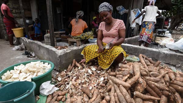 Ebola-of-cassava