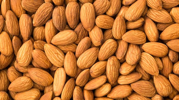 AN115-Almonds-732×549-thumb