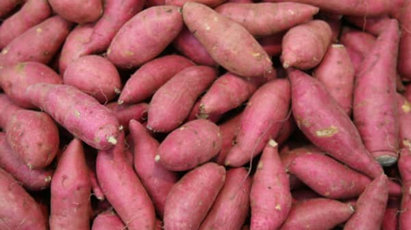 Sweet-potatoe
