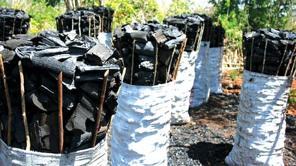 _———————————————————charcoal-bags-13-8-18