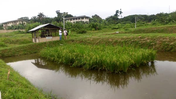 integrated picture 9-8-18