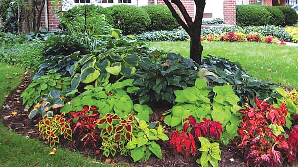 14.—front-yard-landscaping-garden-ideas-homebnc