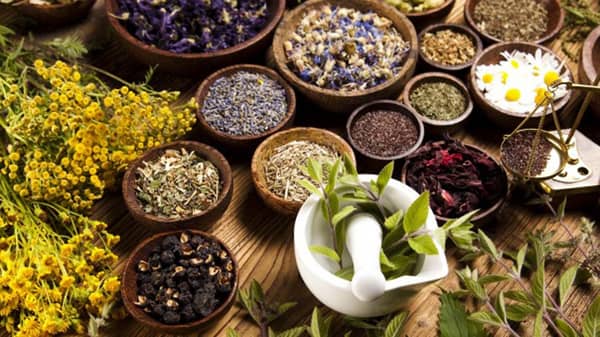 Herbal Medicine source meexperience