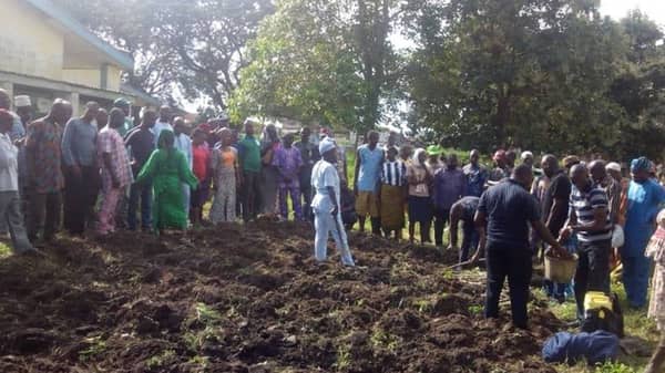 43709500_1626362384137040_712902229685698560_n