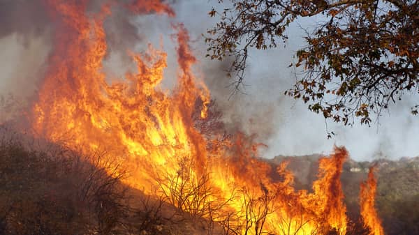 250,000 Evacuated In Southern California As Woolsey Fire Torches Over 80,000 Acres