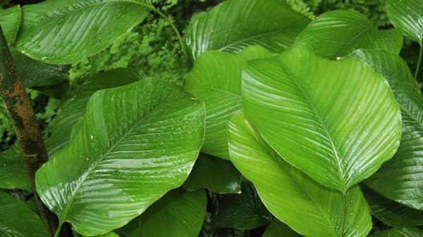 a405f46b20ac5cc013cd37b6279ba239