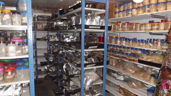 NACGRAB’s-temporary-gene-bank