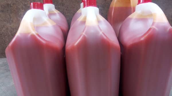 palm-gallon-06-12-18