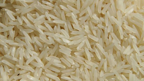 rice-960627_960_720