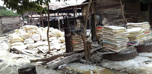 Dewatering-of-cassava