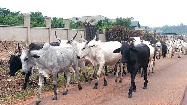 Page-4-Pix-New-02-07-2019