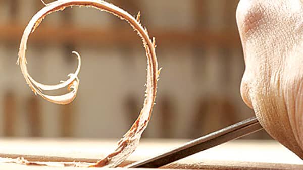 Youths With Purpose 20-4-19