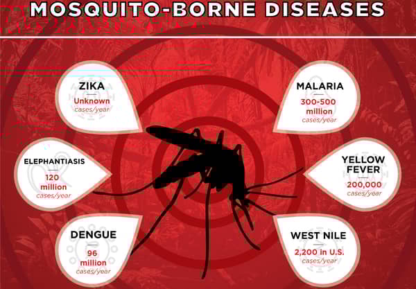 mosquito-borne-disease-hero-1