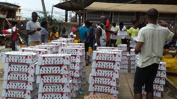 Day-old-chicks-on-display-within-the-premises-of-Bronco-Hatchery-Services,–Oluyole-Industrial-Estate-in-Ibadan,-Oyo-State
