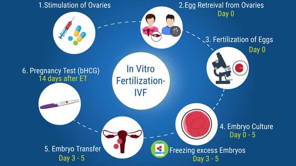 IVF-Steps