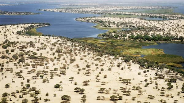 Lake Chad – Guardian Nigeria