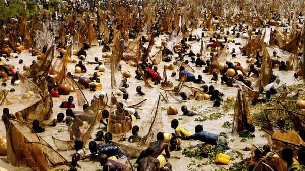 Argungu-Fishing-Festival