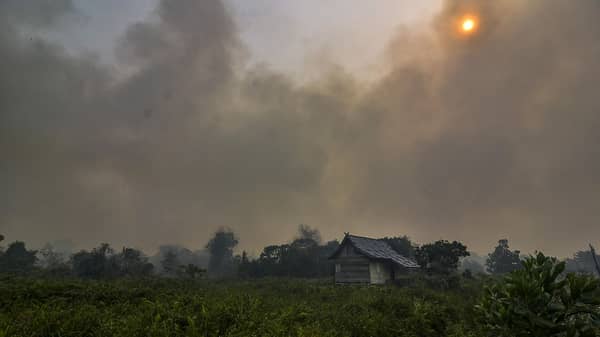 INDONESIA-ENVIRONMENT-POLLUTION-FOREST-FIRE