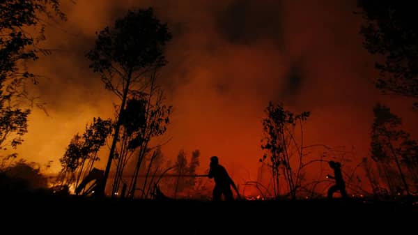 The Wider Image: Indonesia’s firefighters on frontline of Borneo’s forest blazes