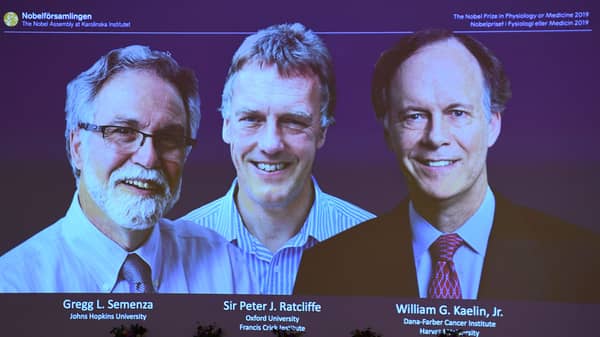 DOUNIAMAG-SWEDEN-NOBEL-MEDICINE